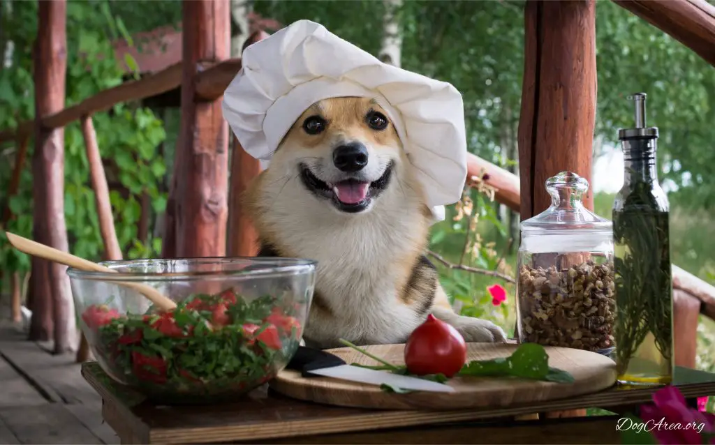 what herbs and spices are good for dogs